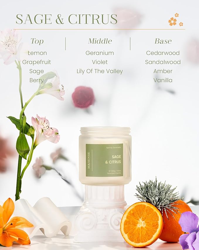 M&SENSE Sage Citrus Candles, 11.6oz Natural Soy Wax, 70 Hours Long Lasting, Non Toxic Clean Burning Candle for Home Scented, Fresh Smelling Aromatherapy 2 Wicks Glass Jar for Meditation Relaxation