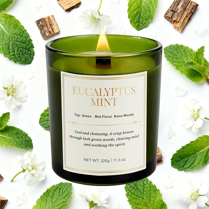2 Pack Candles for Home Scented,Wood Wick Eucalyptus Mint Scented Candle,22.6 oz 150 Hour Long Burning Lasting, Natural Soy Wax Candles Gifts Set