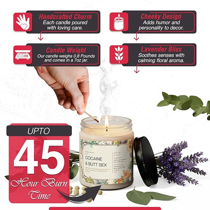 Funny Candle Gifts for Women, Men- Birthday Gift for Best Friends, Her, Him, Girlfriend, Sister, Plant Lover- Unique Christmas & Valentines Day Present - Lavender Candles (But Sex)