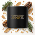 Benevolence LA Pine Wood Scented Candles | 14.5 oz Christmas Candles for Women | 45 Hour Burn Pine Scented Candles for Home | Holiday Candles | Pine Scent Aromatherapy Candles