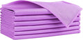 HOMEXCEL Microfiber Glass Cleaning Cloths 6 PK, Lint Free Streak Free, Reusable Microfiber Magic Cleaning Cloth for Windows, Glasses, Mirrors, Screens, Stainless Steel, and More Purple-14×16"