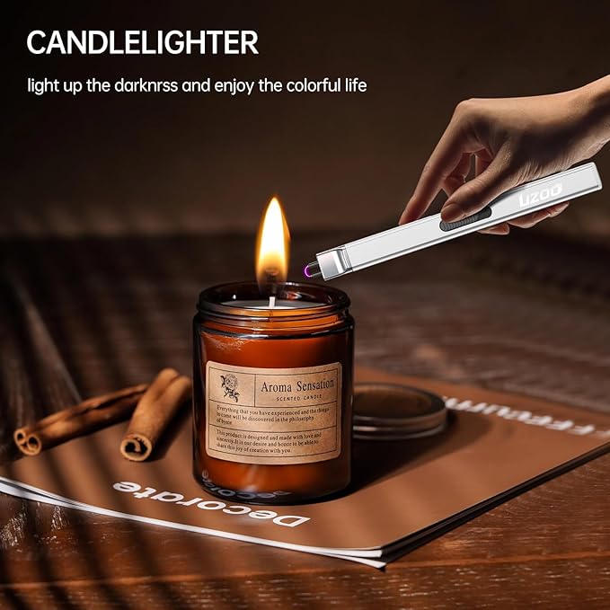 2 PCS Electric Lighter, Rechargeable Arc Lighter, 360° Flexible Neck Flameless Grill Long Lighters for Candle Aromatherapy Camping BBQ Gas Stoves-Silver