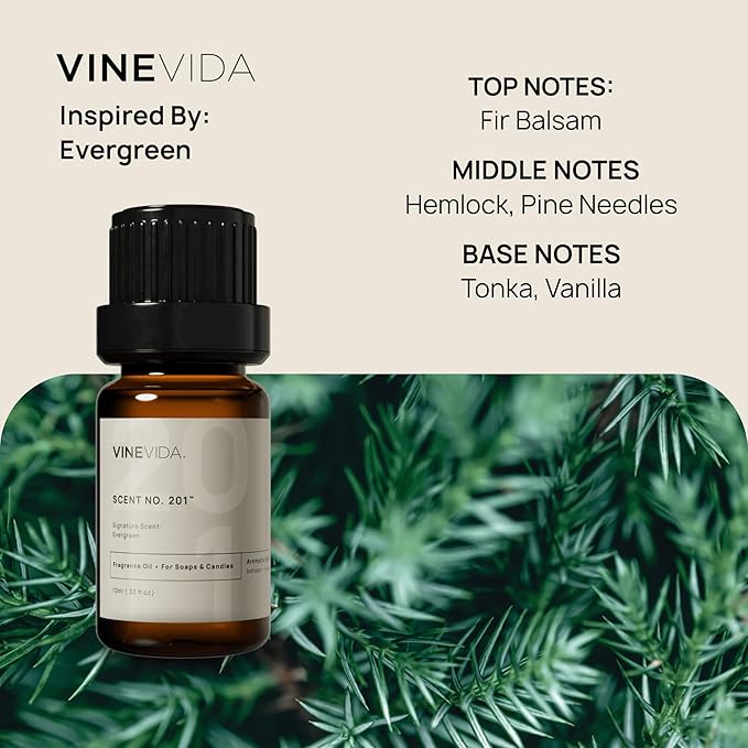 VINEVIDA [0.33 oz] Scent Evergreen; Fragrance Oil for Candle Making and Soap Making - Winter & Holiday Oils
