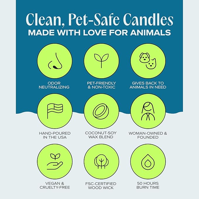 Companion Candles You & Me by the Sea Pet-Friendly Scented Candle – Sea Salt & Neroli Fragrance - Coconut Soy Wax Candle with Wooden Wick, Approx. 50-Hour Burn Time, Made in USA, 11.8 oz