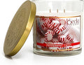 Peppermint Scented 3-Wick Candle in Glass Jar | Candles for Home | 14.5oz Rustic Home Decor Novelty Candle | 60 Hour Burn Time Candle