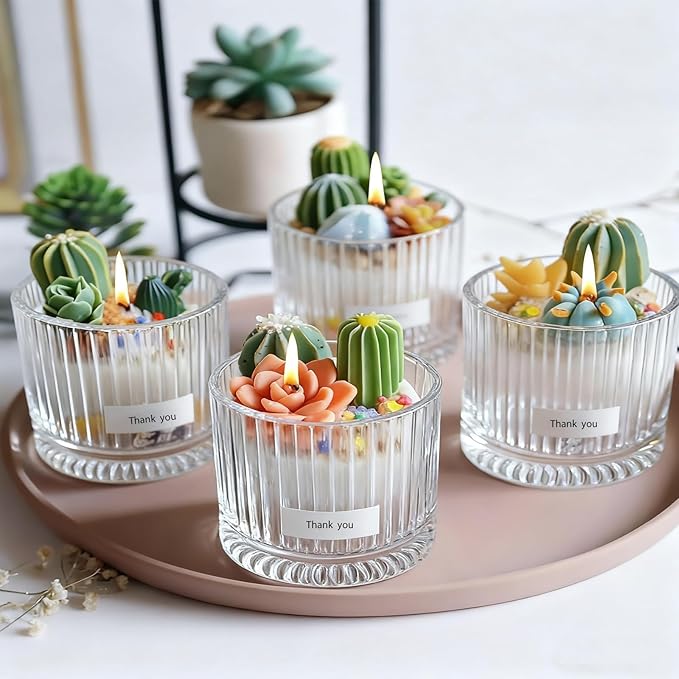 ZRLABL Candle Making Kits for Beginners, DIY Candle Making Supplies Include 10pcs Succulent Silicone Molds, 50pcs Gift Tags, 65ft Jute Twine, 6pcs Clear Candle Jars, 50pcs Candle Wicks