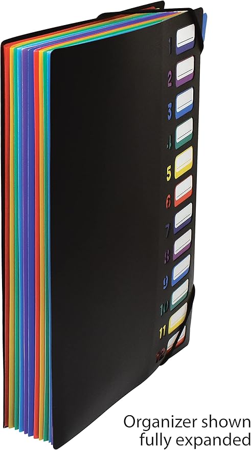 Better Office Products 24 Clear Pocket Expanding File Folder with 12 Colored Tabs, Letter Size, Holds 300 Sheets, Project File Organizer, Numbered Index on Cover,(1 Pack Black)