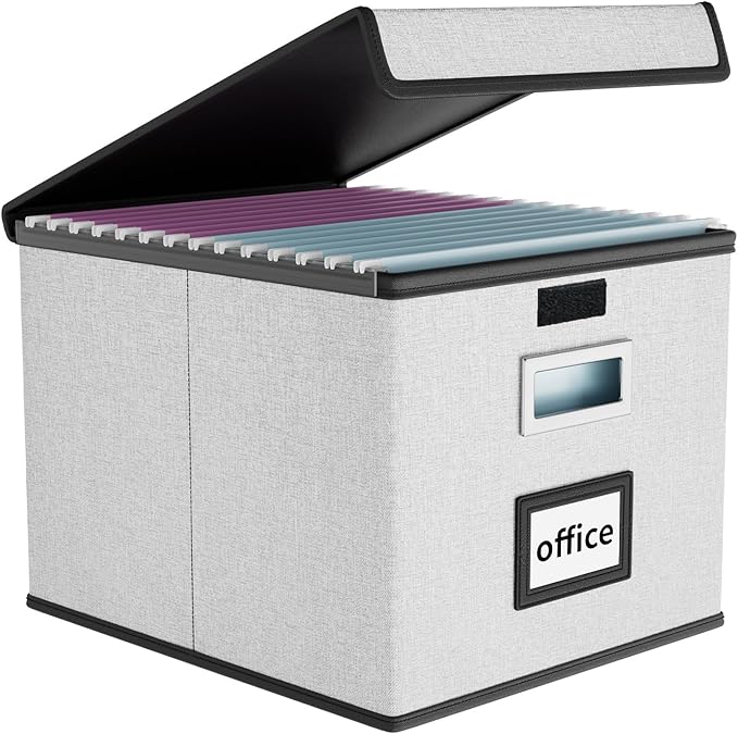 Huolewa File Organizer Box with Lid, Collapsible File Folder Organizer for Office Document Storage, Filing Box with Plastic Slide for Letter Size Hanging File Folders(1 Pack, Light Grey)