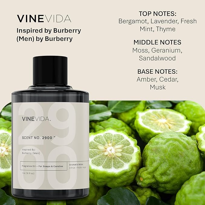 VINEVIDA [16oz] No.2900 (Men) Fragrance Oil for Candle Making - Natural Candle Oil Scents - Soap Making Essential Oil - Made in USA