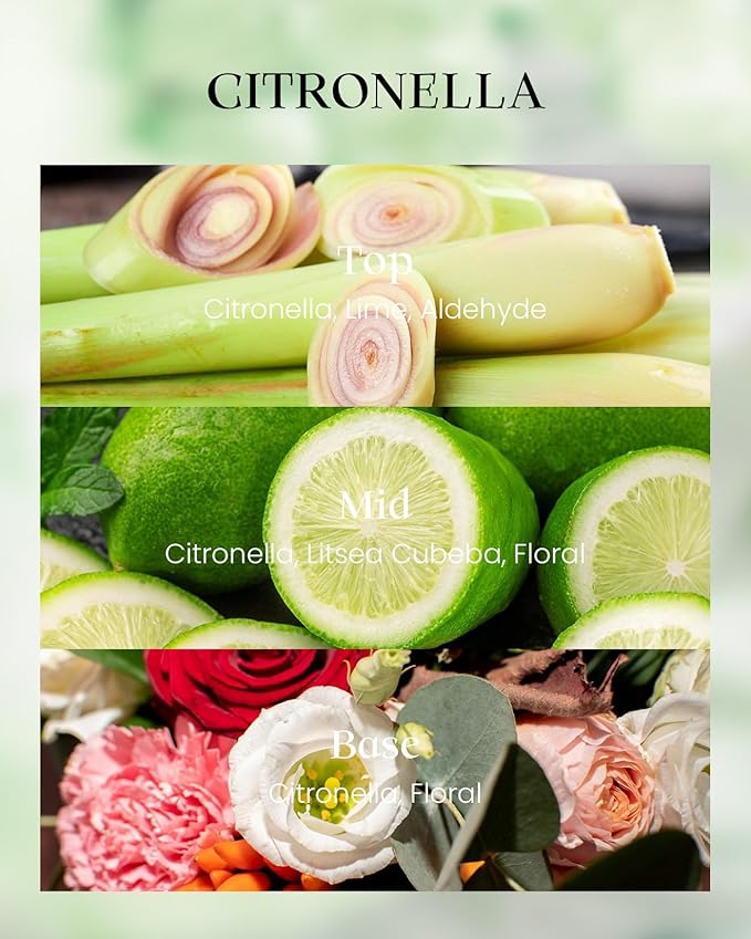 M&SENSE Citronella Candles Outdoor, 42 Hours Burn Natural Citronella Oil Soy Candle for Patio Camping, 8.1oz Long Lasting Lemongrass Summer Candles for Indoor Home Scented
