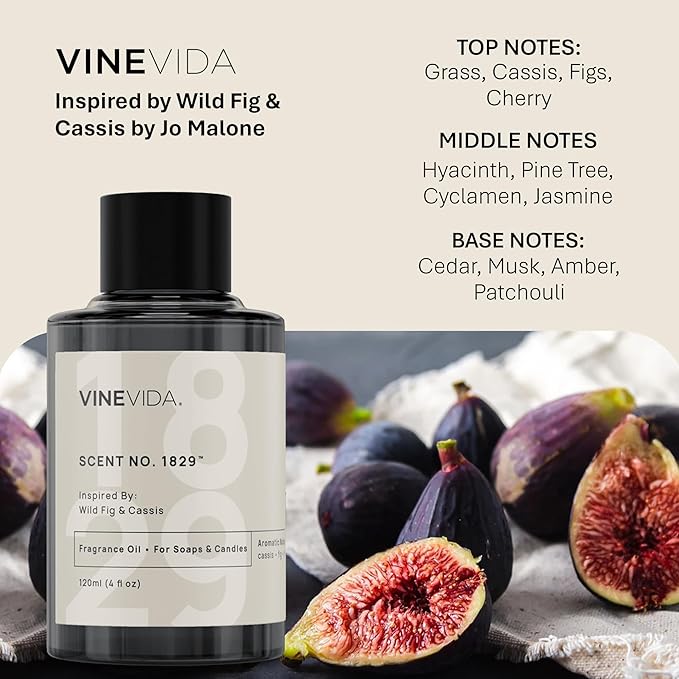 VINEVIDA [10mL] Wild Fig & Cassis Fragrance Oil for Candle Making - Natural Candle Oil Scents - Soap Making Essential Oil - Made in USA