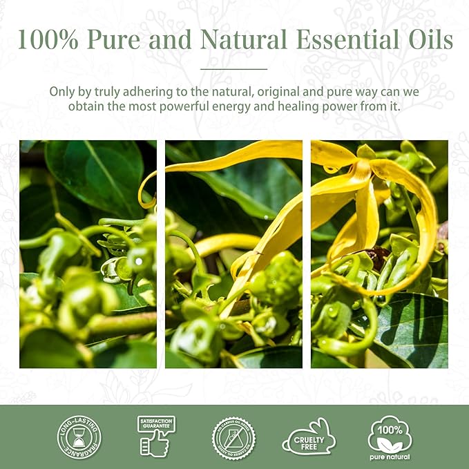 PHATOIL 100ML Ylang Ylang Essential Oil, Premium Essential Oils for Diffuser, Humidifier, 3.38fl.oz Scented Oils for Soap, Candle Making