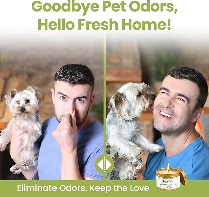 Coco Limone Pet Odor Eliminator Candle, Coconut Lime Scent, 6oz, Eco-Friendly Soy Wax, Made in USA, Pet-Safe, Natural Odor Removal Candle, Non-Toxic, Phthalate-Free, Cotton Wick