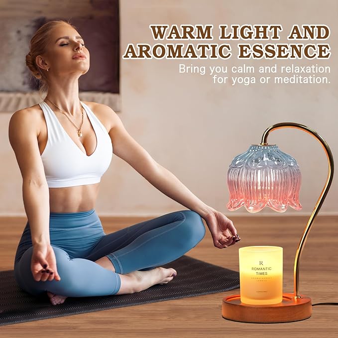 Funistree Dimmable Candle Warmer Lamp with Timer, Electric Candle Warmer Lamp, Women Birthday Gifts, Flower Candle Lamp Warmer for Family, Pink Blue Fragrance Candle Lamp for Modern Office Desk Decor
