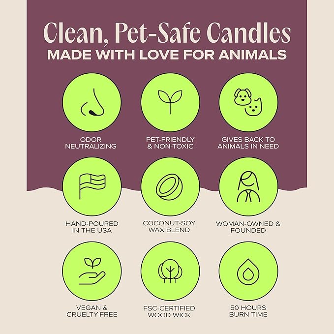 Companion Candles Sweater Weather Pet-Friendly Scented Candle – Smoked Vanilla & Cashmere Fragrance - Coconut Soy Wax Candle with Wooden Wick, Approx. 50-Hour Burn Time, Made in USA, 11.8 oz