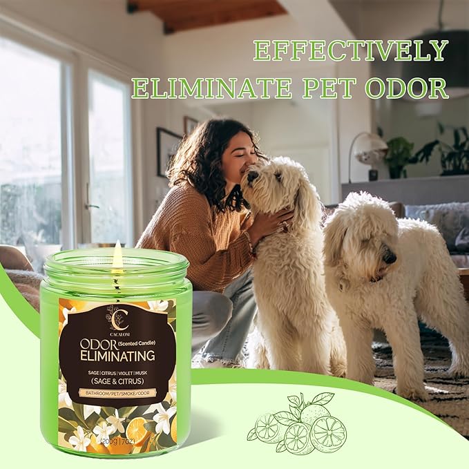Sage Citrus Lemon Odor Eliminating Candles, Pet Scented Candles for Home, Single Wick Soy Candle Gifts for Women, Men, Ideal for Creating Relaxing Atmosphere, Over 50 Hours of Burn Time
