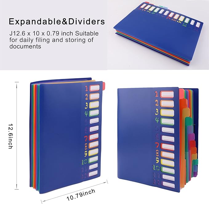 Edufun Rainbow Tab Expanding File Folder - 24 Pockets, Durable A4 Letter Size Organizer, Water-Resistant Plastic Dividers, Home/Office/School Document Holder (Blue)