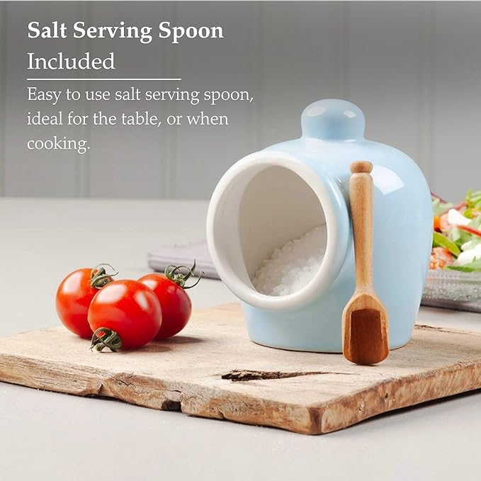 Wm Bartleet & Sons Traditional Porcelain Small Salt Pig with Wooden Salt Serving Spoon - Blue