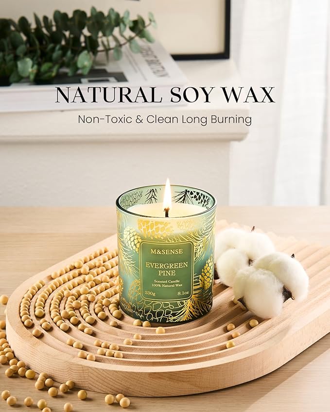 M&SENSE Evergreen Pine Vegan Soy Candles, 8.1oz 42-Hour Slow Burning Non Toxic, Winter Aromatherapy Candle for Calming Home Fragrance, Housewarming New Year Gifts