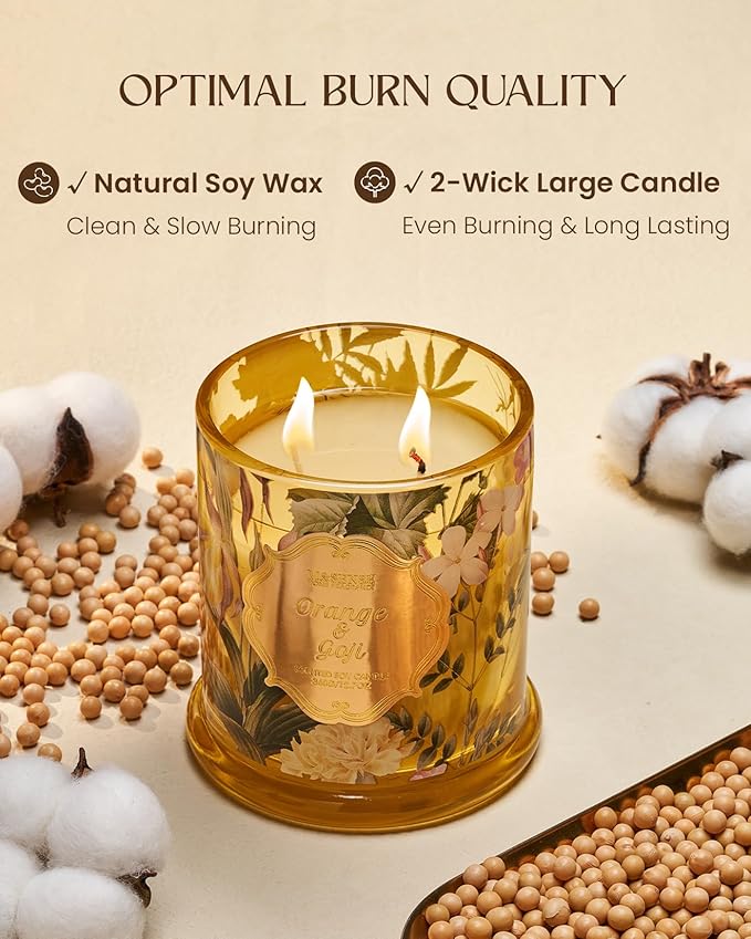 M&SENSE Orange Goji Soy Candle for Home, Non Toxic 2 Wick 12.7oz 75H Long Lasting, Winter Fragrant Aromatherapy Candle for Relaxation, Housewarming New Year Gifts