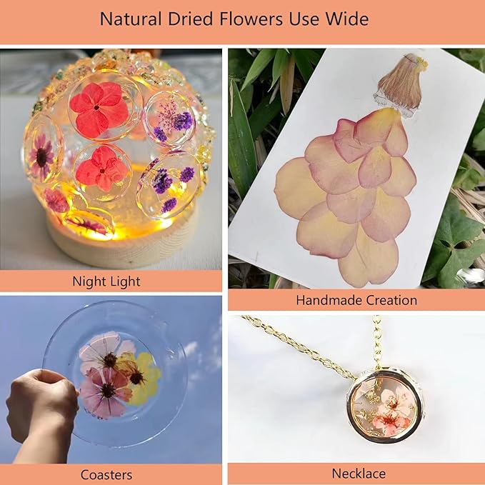 10 Types 50PCS Dried Flowers for Resin & Pressed Flowers Kit -Real Pressed Flowers and Leaves for DIY Art, Crafts, Pressed Flower Frame, Jewelry, Bookmarks ect- Perfect for Unique Gifts and Home Decor