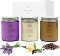 Aromatic Candles Three Pack - 3 x 8 oz Cotton Wick Candles Coloured Fosted Jars - Vanilla, Lavender and Coffee, Classic Candle Set for Men and Women by Spotless Leopard