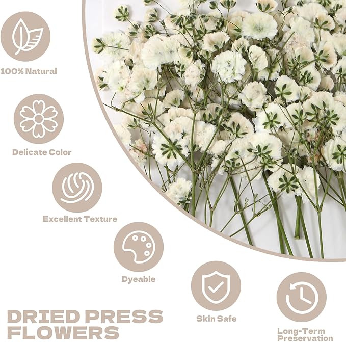 CONVELIFE Dried Babys Breath White, 48pcs Dried Flowers for Resin Pressed from Natural Flowers, Natural Pressed Flowers for Wedding Resin Art Craft DIY Card Making Home Party Decor (White)