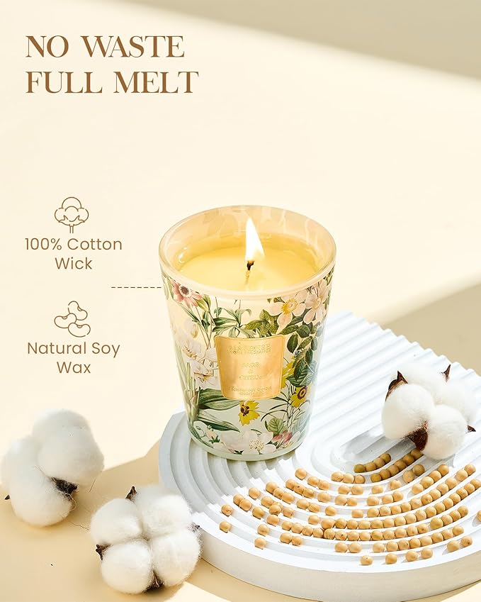 M&SENSE Sage Citrus Soy Candle, 14.1oz 60H Long Lasting, Aromatherapy Candle for Dining Room Freshness New Year Winter Housewarming Gifts