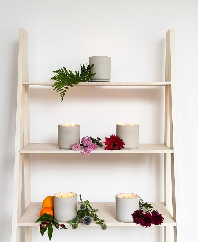 WHOLESOME. Warm Woods Scented Non-Toxic Candles for Home, 2 Wicks Natural Coconut Wax Candle Eco-Friendly, Luxury Aromatherapy Candles Stress Relief, 16 oz Large Concrete Jar, 90 Hours Burn