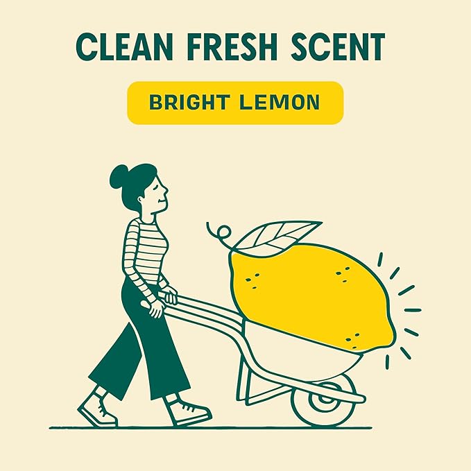 Aunt Fannie's All Purpose Household Cleaner, Multi-surface Spray, Powered by Vinegar for Kitchen, Bath, Windows and Countertops, Lemon Scent (Pack of 1)