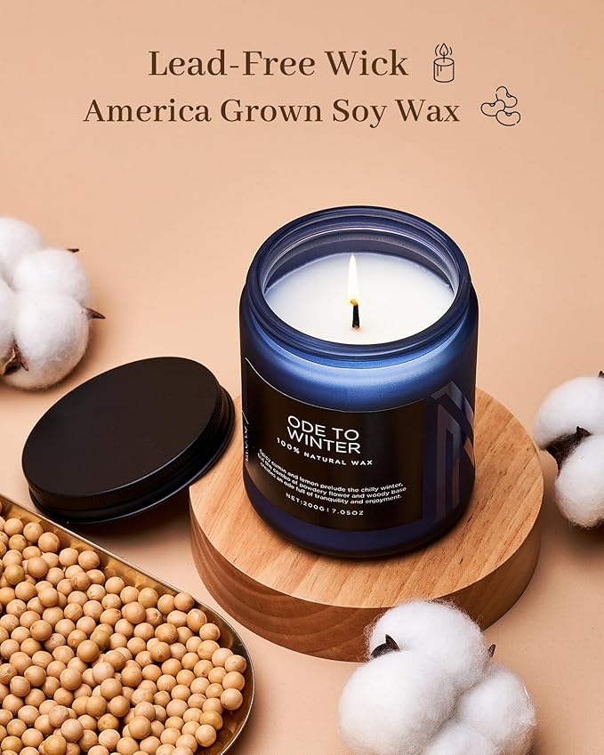 M&SENSE Ode to Winter Scented Candle for Home Natural Soy Wax Non Toxic Cotton Wick Winter Scent, 7.05oz Up to 50 Hours Burn Time Gifts for Christmas Holiday