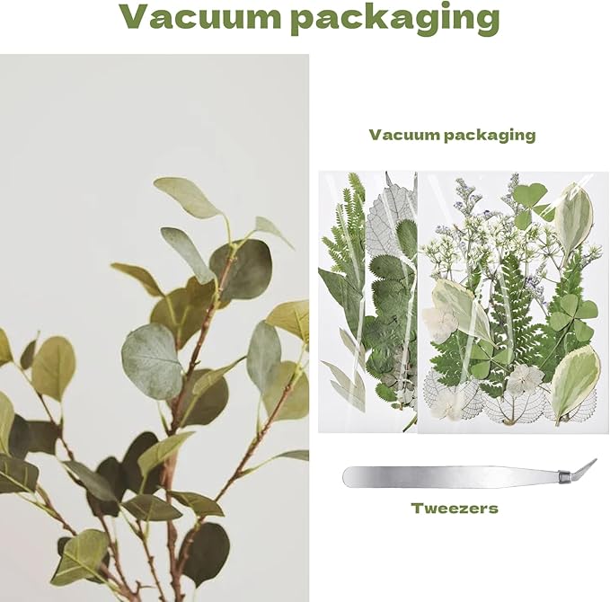CONVELIFE 63 Pcs Pressed Leaves, 21 Styles Dried Flowers for Resin, Natural Dry Leaves for Pressed Leaf Art Craft DIY Embellishment Decorations