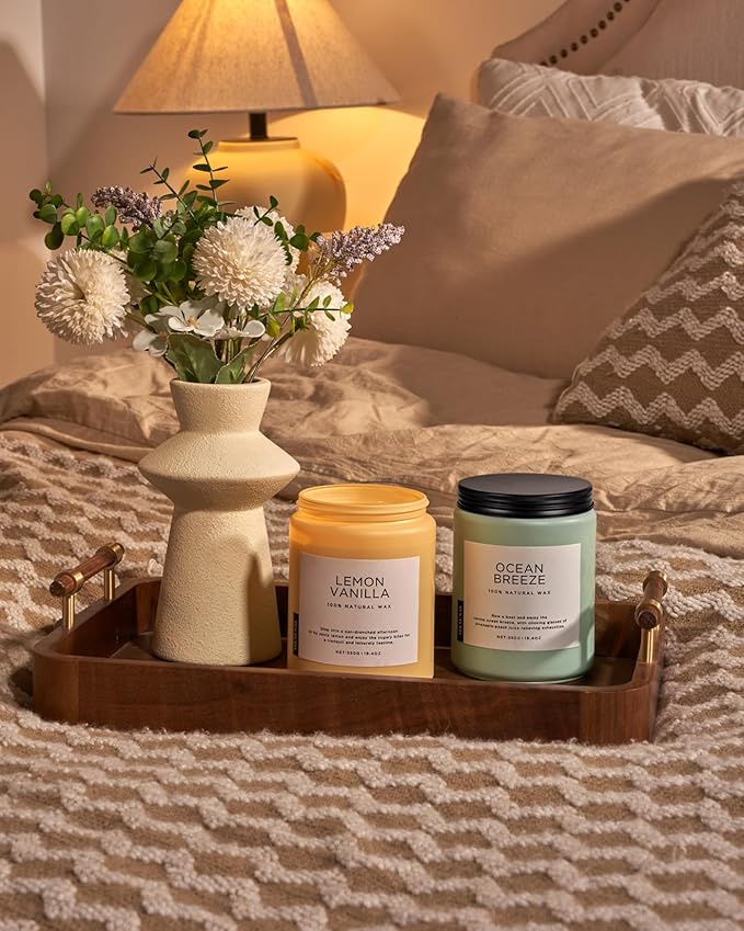 M&SENSE Lemon Vanilla Scented Candles, 19.4oz Organic Soy Wax, 110 Hours Long Lasting Slow Burn, Natural Candles Non Toxic, Fruity Scent Stress Relief Gifts for Women, Home Fragrance for Bath