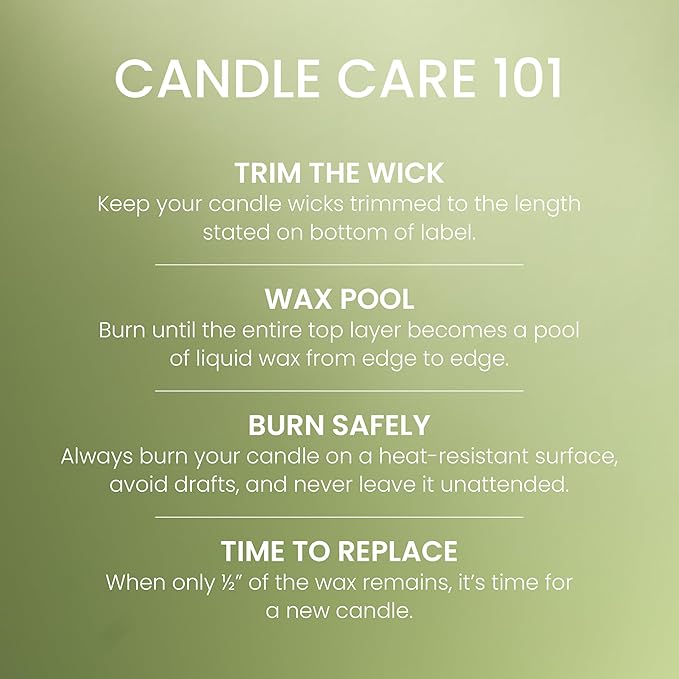 Yankee Candle Green Apple Sorbet Scented Candle, 22oz Large Jar with up to 150 Hour Burn Time, Giftable