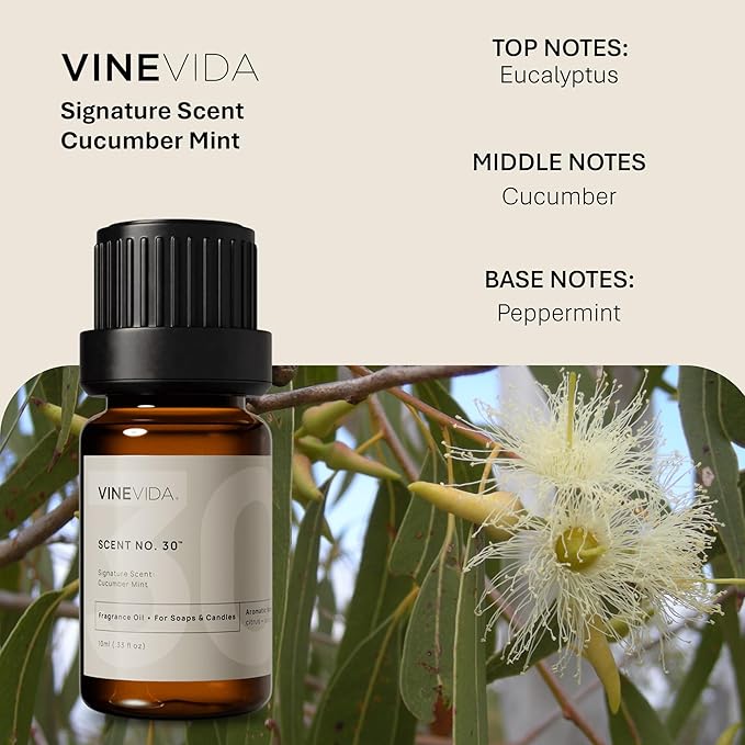 VINEVIDA [0.33oz] Cucumber Mint Fragrance Oil for Candle Making and Soap Making - Premium Candle Scents for Soy Candles