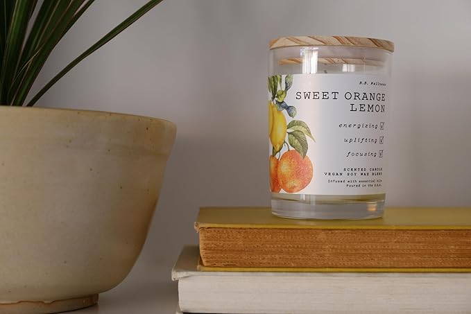 Leoben Co. | B.B. Wellness Scented Candle | Hand-Poured Vegan Soy Wax | Made in Small Batches | 40 Hours Burn Time | 9 oz | Infused with Natural Essential Oils | (Sweet Orange Lemon)