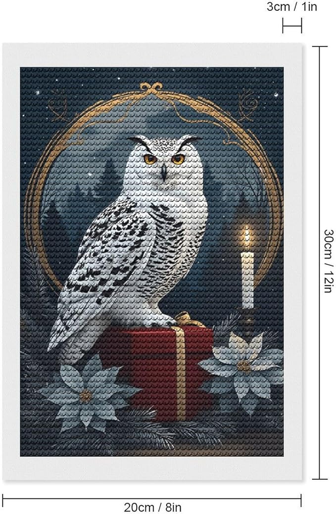 KIVJMSIDJA Diamond Art Kits for Adults Snowy Owl & Candle Glow - Winter Night Scene DIY Round Diamond Art for Home Wall Decor & Crafts Gifts 8"x12"