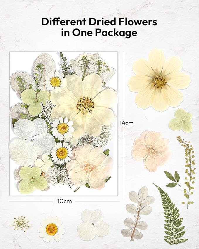 Dried Flowers, Resiners 100Pcs Pressed Flowers for Craft Whtie Real Natural Dried Flowers Dry Leaves Kit for DIY Making Crafts Resin Soap Candle Scrapbook Supplies Card Making Jewelry