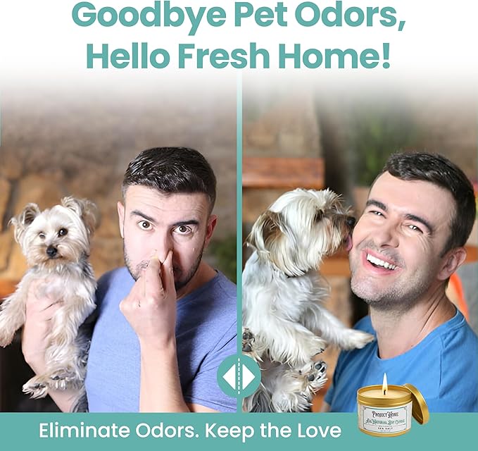 Sea Salt Pet Odor Eliminator Candle, Ocean Breeze Scent, 6oz, Eco-Friendly Soy Wax, Made in USA, Pet-Safe, Natural Odor Removal Candle, Non-Toxic, Phthalate-Free, Cotton Wick