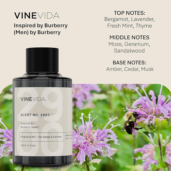 VINEVIDA [120mL] No. 2900 (Men) Fragrance Oil for Candle Making - Natural Candle Oil Scents - Soap Making Essential Oil - Made in USA