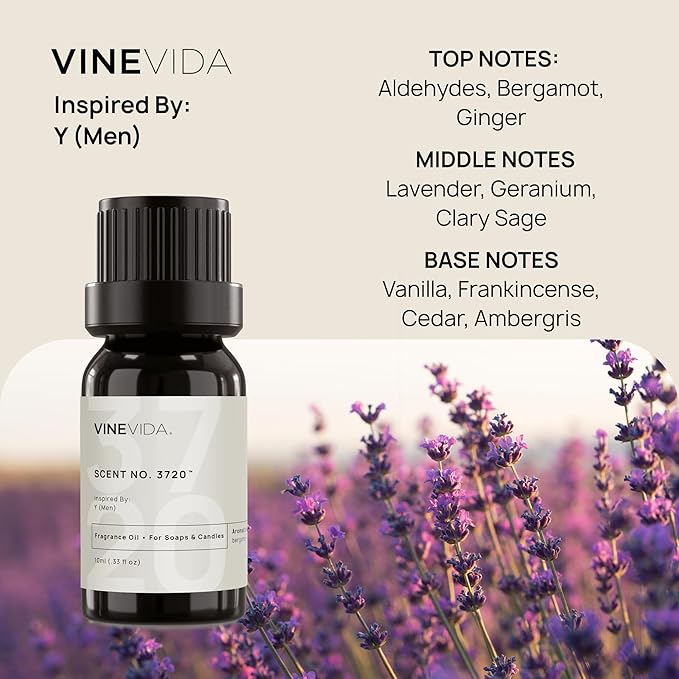 VINEVIDA [0.33 Oz] Inspired by: Y (Men); Fragrance Oil for Candle Making and Soap Making - Premium Candle Scents for Soy Candles