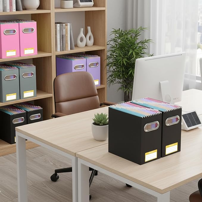 BALEINE File Organizer Box, Cardboard File Folder Organizer with Handle for Letter Size, Portable Collapsible Hanging Filing Box for Home Office Document Storage (2 Pack, Lavender)