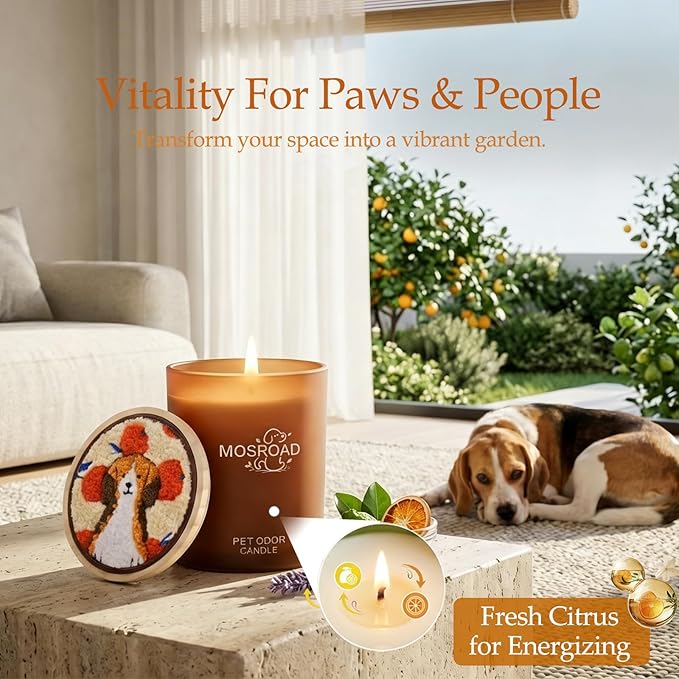 Pet Odor Eliminator Candle – Fresh Citrus, 60-Hour Long Burn Time, Plant Based Pet Safe Soy Wax Candles for Home Scented, Cat & Dog Friendly Odor Eliminating Candle Gift