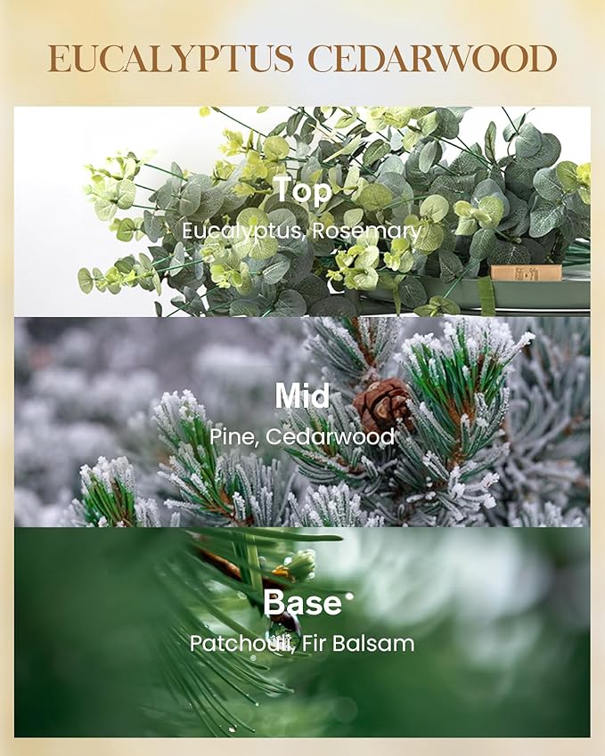 M&SENSE Eucalyptus Cedarwood Soy Candle, 14.1oz 60H Long Lasting, Aromatherapy Candle for Office Relaxation Winter Home Decor Housewarming Gifts