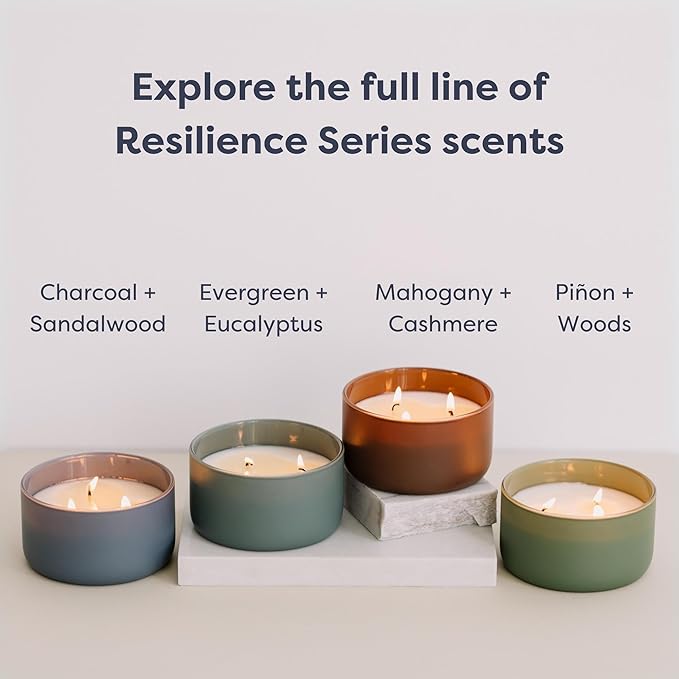 Calyan Wax Co. Piñon & Woods 3 Wick Scented Candle - 30 Hour Burn - Luxury 3 Wick Soy Candles - Non Toxic Soy Wax Candles - Long Lasting Large Glass Jar Candle for Home - 8oz
