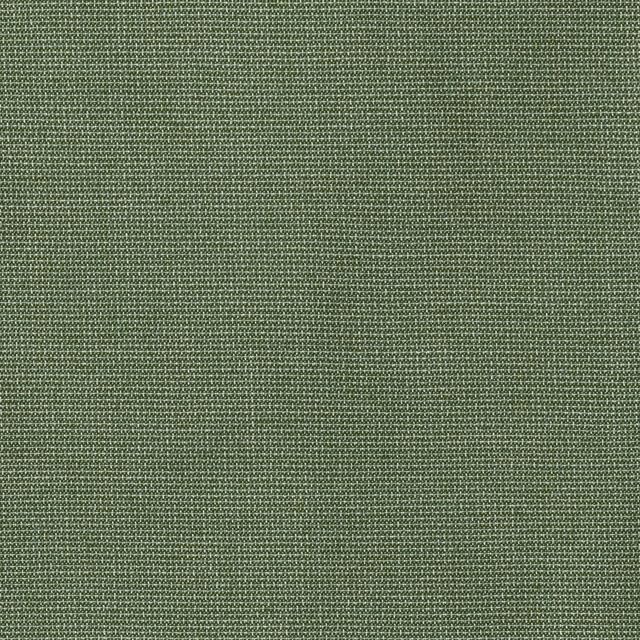 Sunbrella Outdoor Fabric by The Yard | Bliss Aloe (Solid) | Official Sunbrella Seller | Indoor or Outdoor Upholstery Fabric for Chairs, Cushions, Drapery, Pillows, Furniture