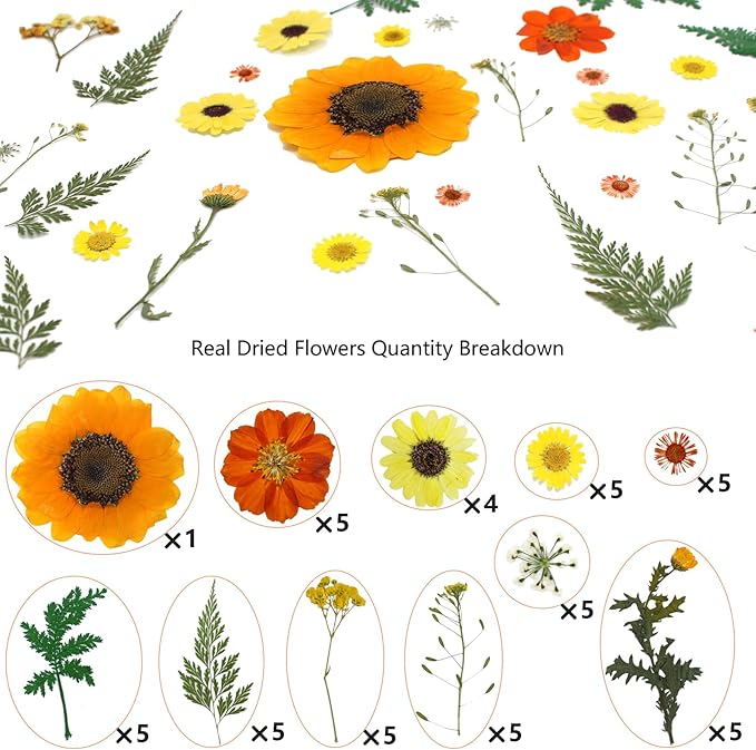 50 Pcs Dried Flowers for Resin,Real Pressed Flowers Leaves Mixed Multiple Natural Kit for Christmas DIY Gift,Art Crafts,Candle, Soap Making, Nails Decor