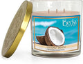 3 Wick Candle, 14.5oz Coconut Beach Candle, 3 Wick Candles Clearance, Big Candles, Three Wick Candle, 3 Wick Candle Jars