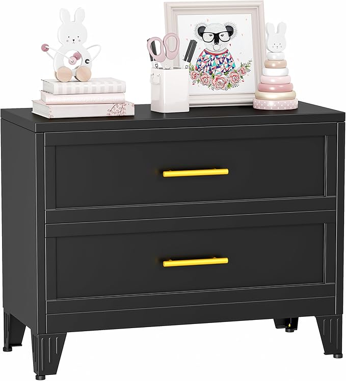 Ckzbx Metal Dresser for Bedroom 2 Drawers Dresser Metal Storage Dressers Organizer,24.8" H Black Drawer Chest, Closet Organizers for Living Room, Hallway, Closet