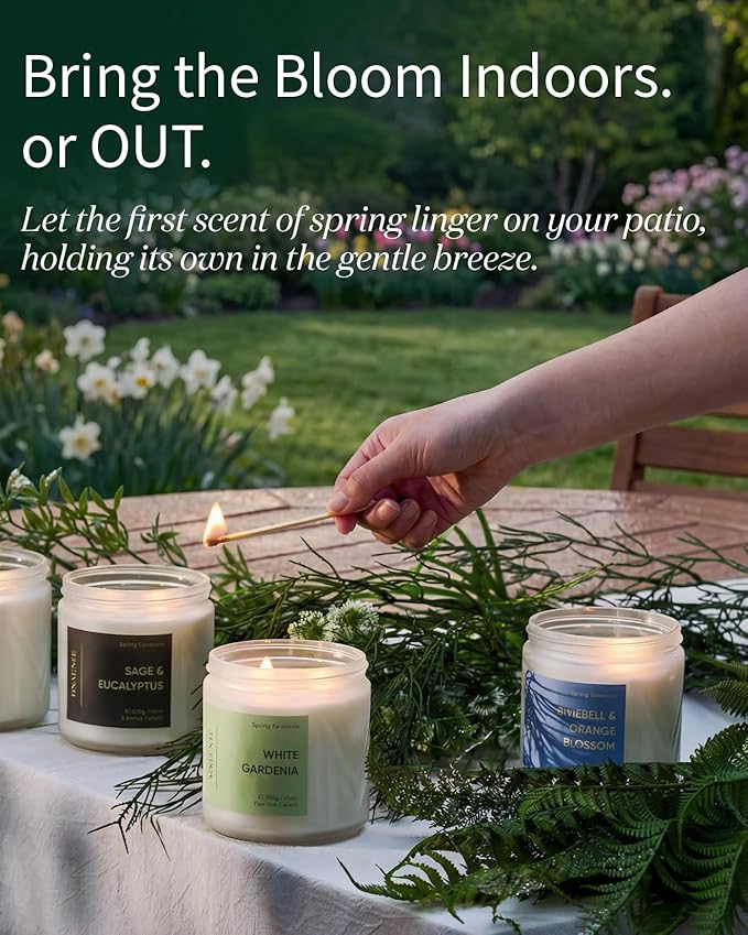 M&SENSE Sage Citrus Candles, 11.6oz Natural Soy Wax, 70 Hours Long Lasting, Non Toxic Clean Burning Candle for Home Scented, Fresh Smelling Aromatherapy 2 Wicks Glass Jar for Meditation Relaxation